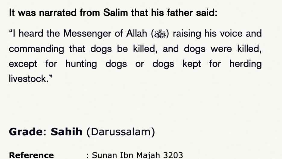 1330 81ST AVE NE SPRING LAKE PARK, MN 55432