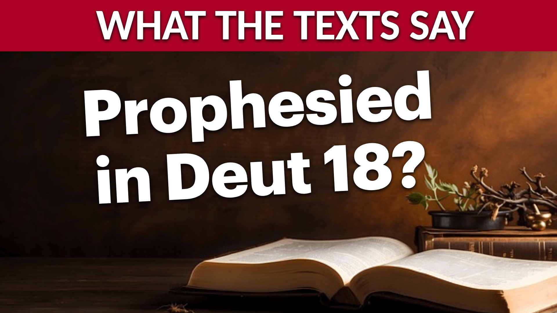 Muhammad prophesied in Deuteronomy 18:18?