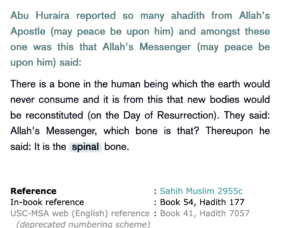 spinal column does not decay